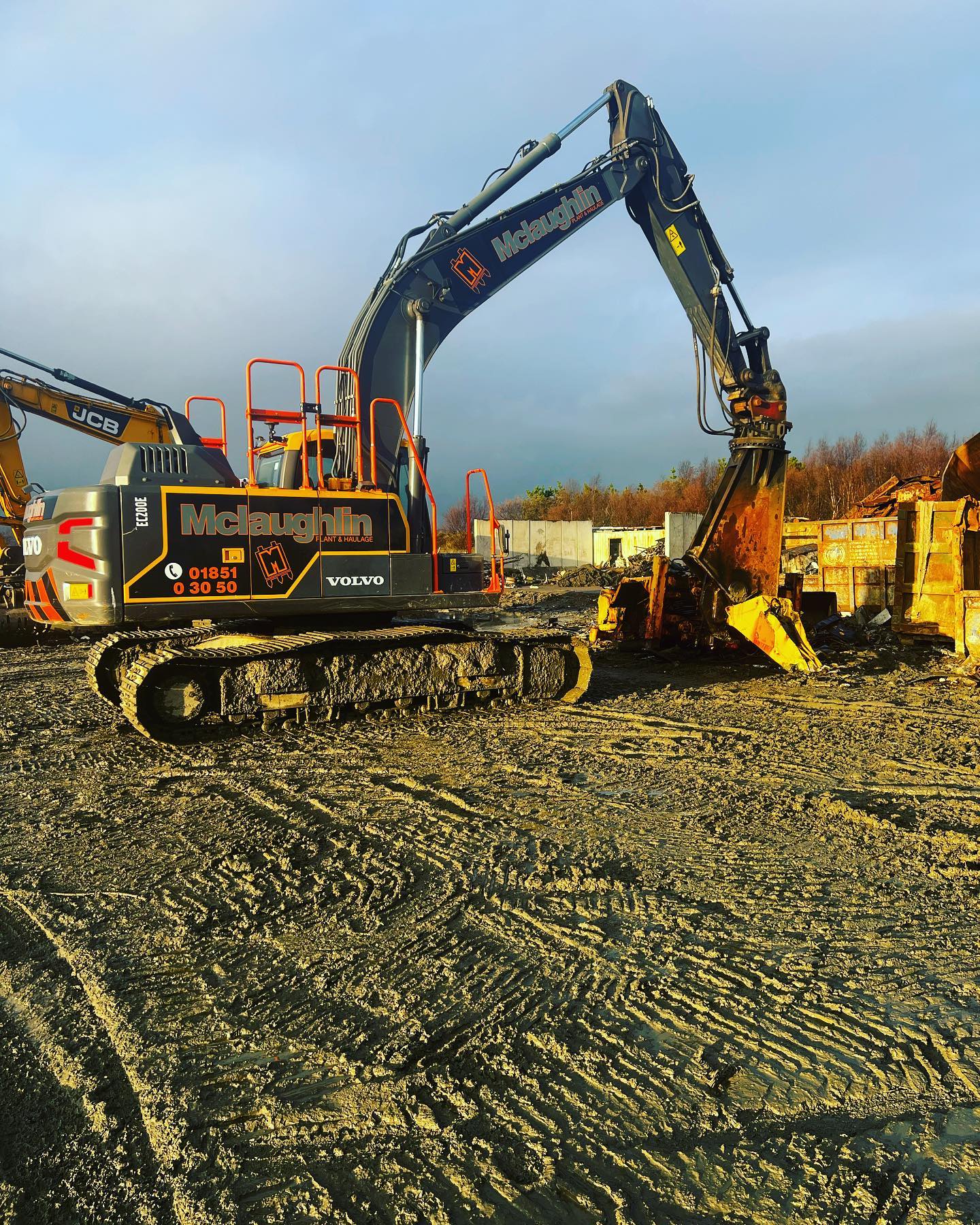 mclughlin-img